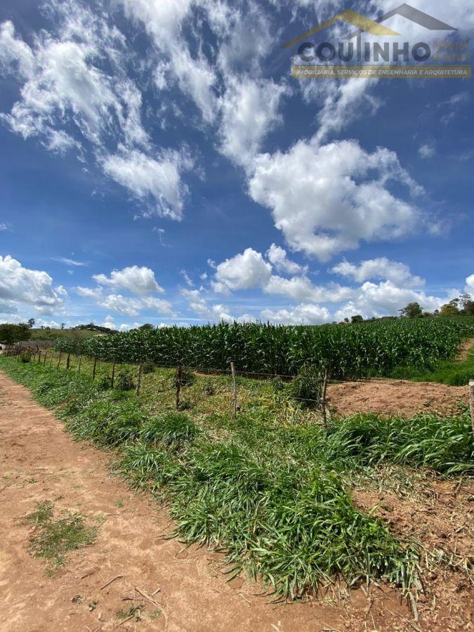 WhatsApp Image 2025-12-11 at 13.22.49.jpeg